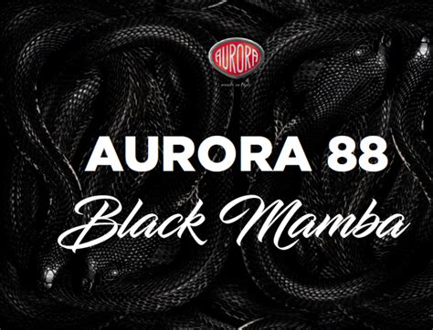 aurora 88 black mamba